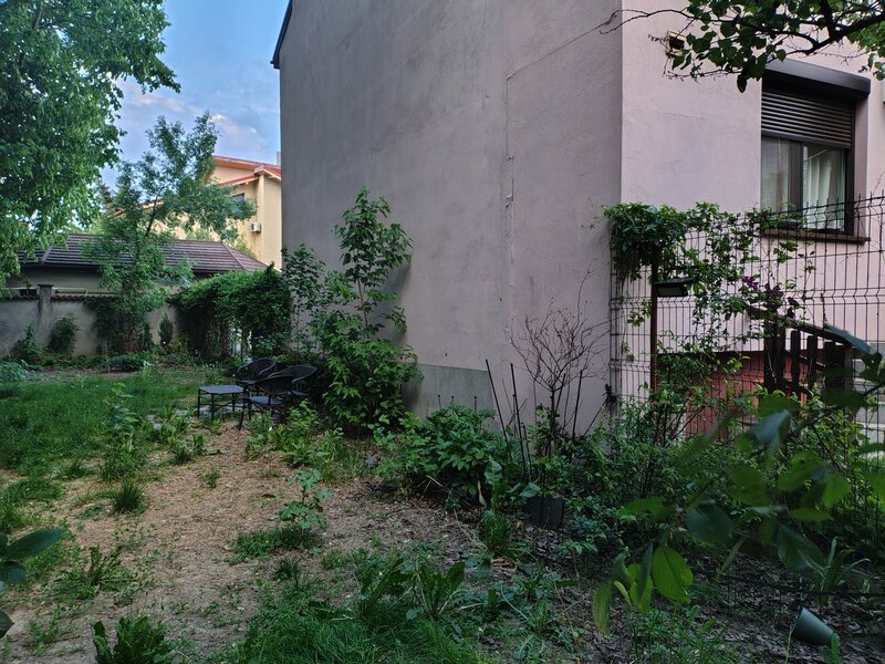 Sector 3 Str. Esarfei 97,